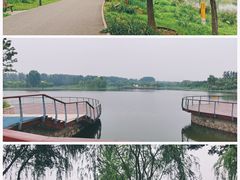 -东郊湿地公园