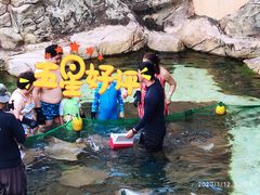 -新加坡水上探险乐园