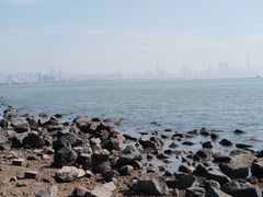 -深圳湾公园(南山区)