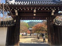 -醍醐寺