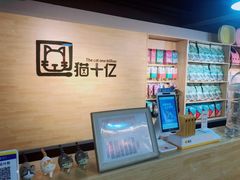 -猫十亿·布偶金渐层·曼基康矮脚猫舍(青年路店)