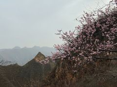 -圣莲山风景区