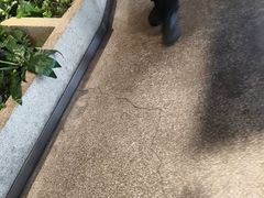 -蘸小院铁锅炖·蘸酱菜·东北菜(怀远门店)