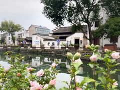 -东梓关景区村庄