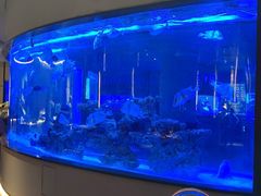 -上和臻品中国菜(花园街店)