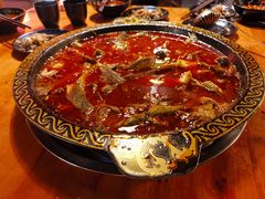 -三道苗苗鱼·美蛙黄辣丁(八里店)