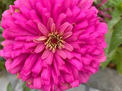 -1369冰火锅(木北路店)