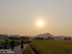 -光明小镇欢乐田园
