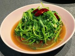 炝炒鸡毛菜-日上三甘(三里屯店)