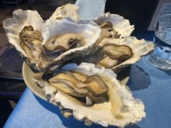 -千岛蚝高压锅生蚝·人参火锅(白云万达店)