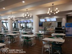 大堂-贝林大翅鲸简餐厅(国家海洋博物馆店)