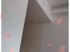 -美的鹭湖森林度假区