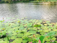 -上海怡沁园度假酒店