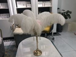 -缤卡妮肌肤管理中心