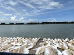 -南沙十九涌渔人码头-南门