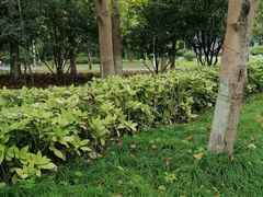 -杭州师范大学(下沙校区)