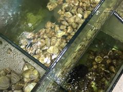 -四海鲜渔家菜(黄金海岸店)
