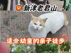 -成都老君山