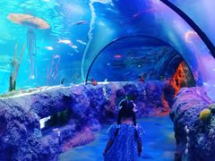 -沈阳海洋探索中心