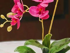 -酒蜻蜓·庭院私房菜(天元东路店)