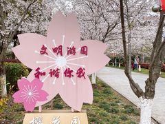 -高东镇樱花园