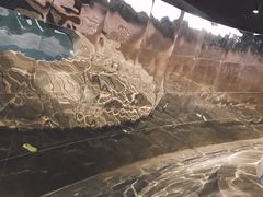 -张之洞与武汉博物馆
