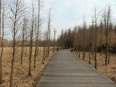 -溱湖国家湿地公园