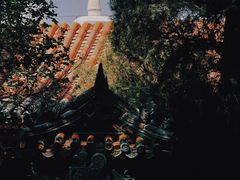 -北海公园