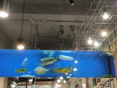 -韩礼年糕(飞虹路店)