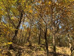 -终南山南五台景区