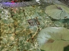 -泉城欧乐堡戏水湾艺术养生温泉