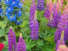 -上海浦江郊野公园·1号停车场