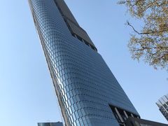 -紫峰大厦