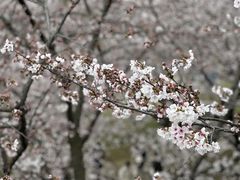 -上方山森林动物世界