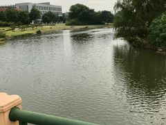 -同济大学(嘉定校区)