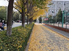 -北京理工大学(中关村校区)