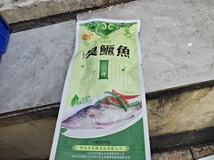 -军子大排档(迎春花园店)