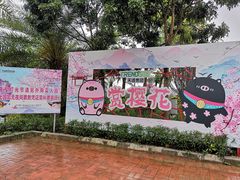 -天适樱花悠乐园