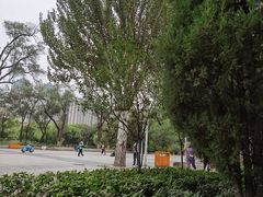 -青城公园