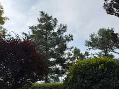 -七彩云南古滇温泉山庄