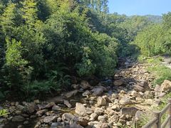 -广州白江湖森林公园