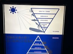 -同济大学四平路校区深海探索馆