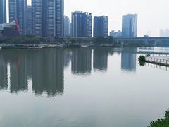 -大湾区中央湿地公园