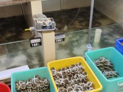 -蟹天蟹地农家菜·阳澄湖大闸蟹(浅水湾店)