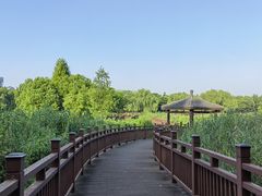 -绍兴镜湖国家城市湿地公园