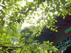 -济南大明湖景区