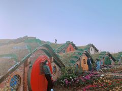 -武汉紫薇都市田园