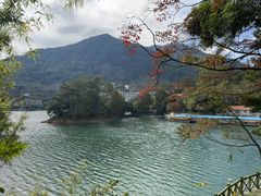 -广州市流溪河国家森林公园