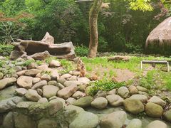 -上海野生动物园