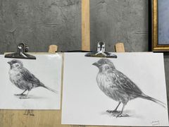 -黑骏画室·深圳美术中高考黄埔军校